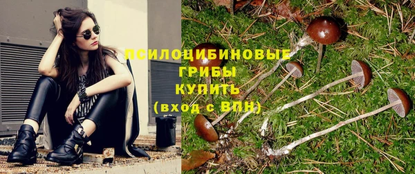 марихуана Дедовск