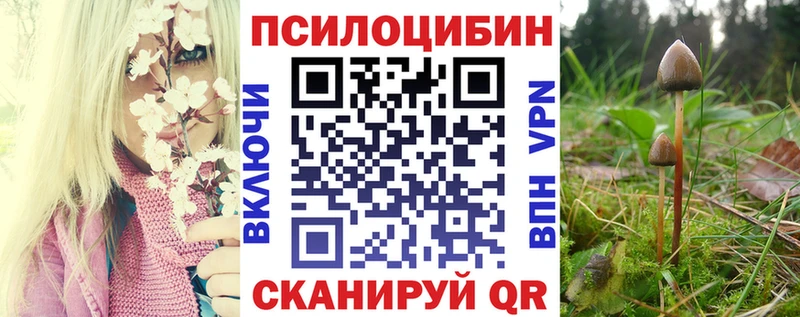 Галлюциногенные грибы мицелий  Лысково 
